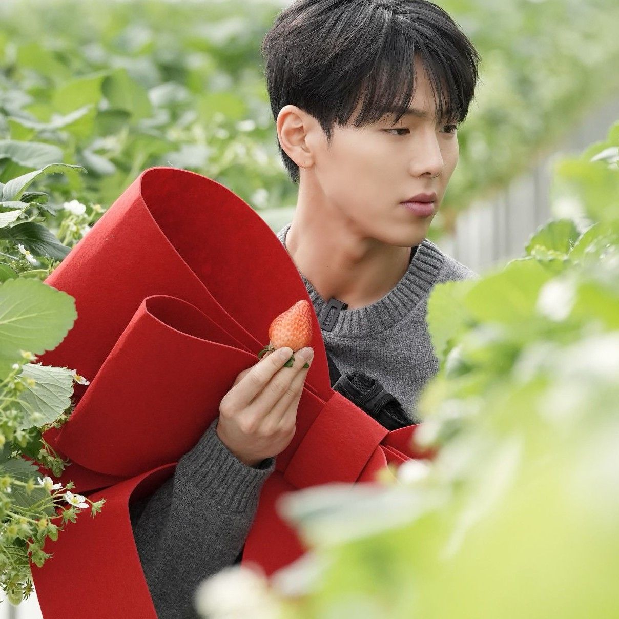 Latest photo of Shownu (MONSTA X)