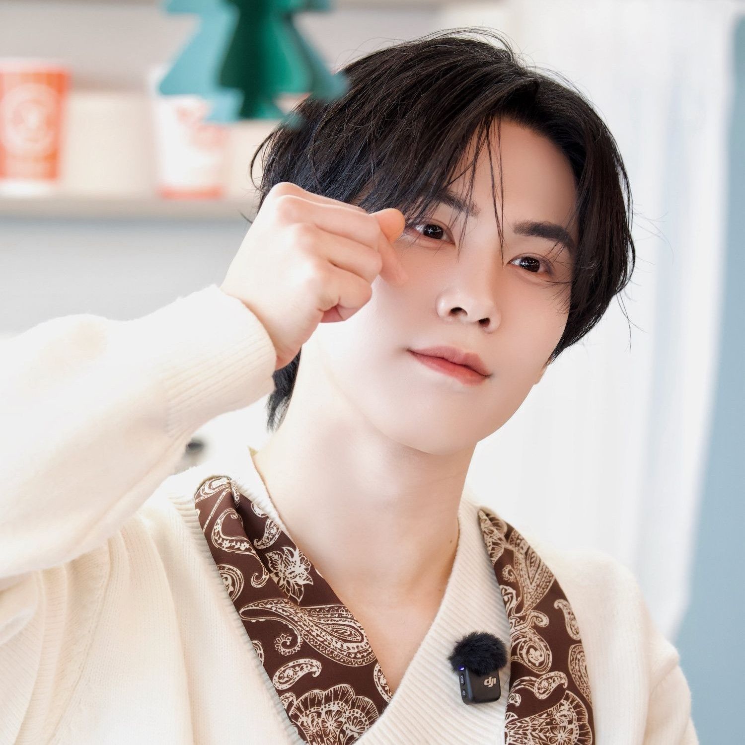 Recent activity shot of Rocky