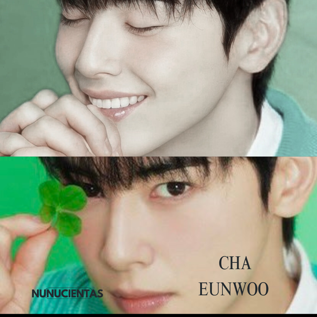 A moment captured by Eunwoo (ASTRO)'s fan