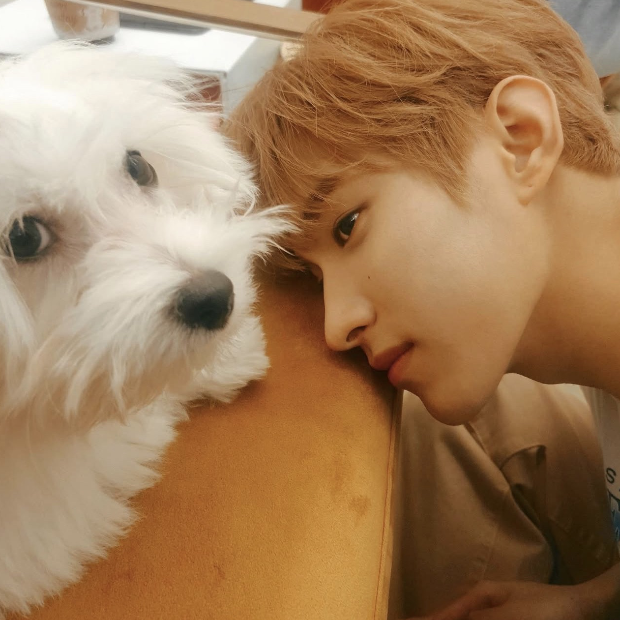 Latest photo of DK (SEVENTEEN)