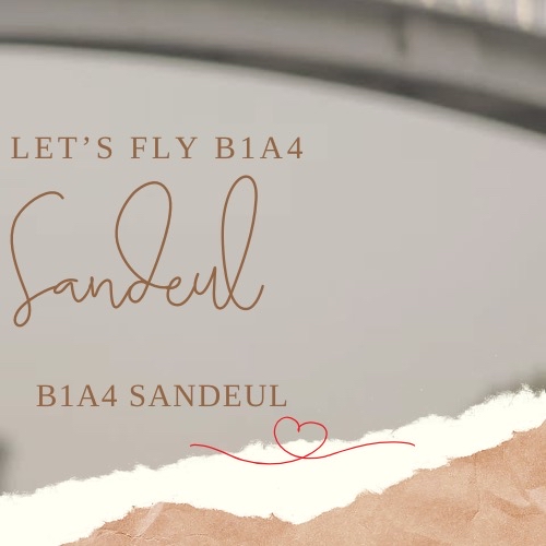 Recent activity shot of Sandeul (B1A4)