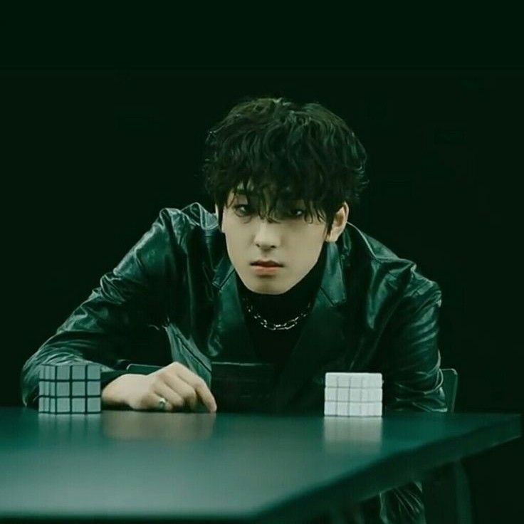 A moment captured by Wonwoo (SEVENTEEN)'s fan