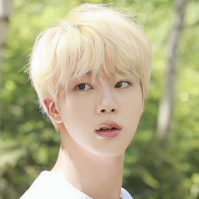 진 (방탄소년단) 팬이 찍은 순간