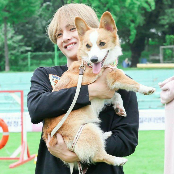 Latest photo of V (BTS)