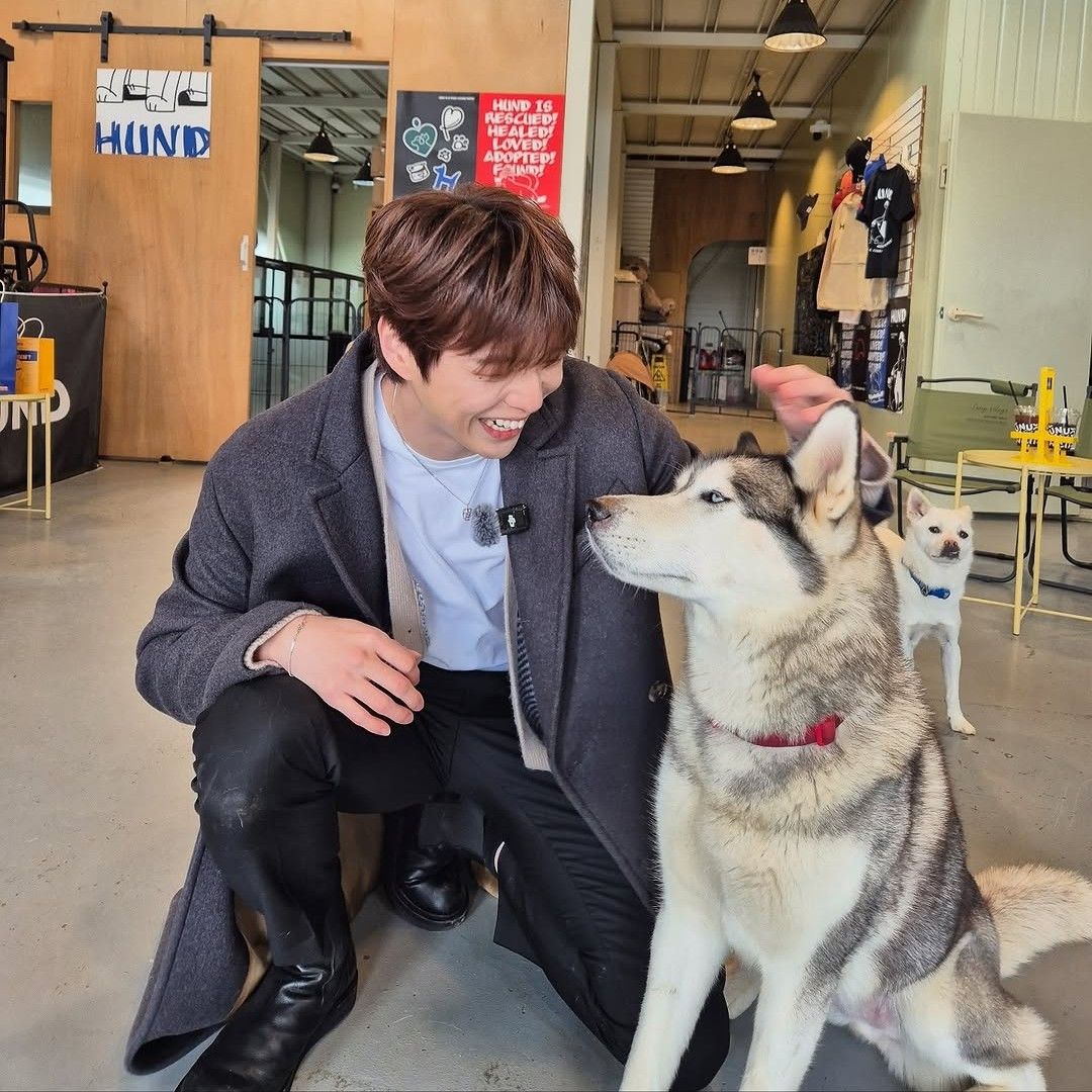 강다니엘 최근 활동샷