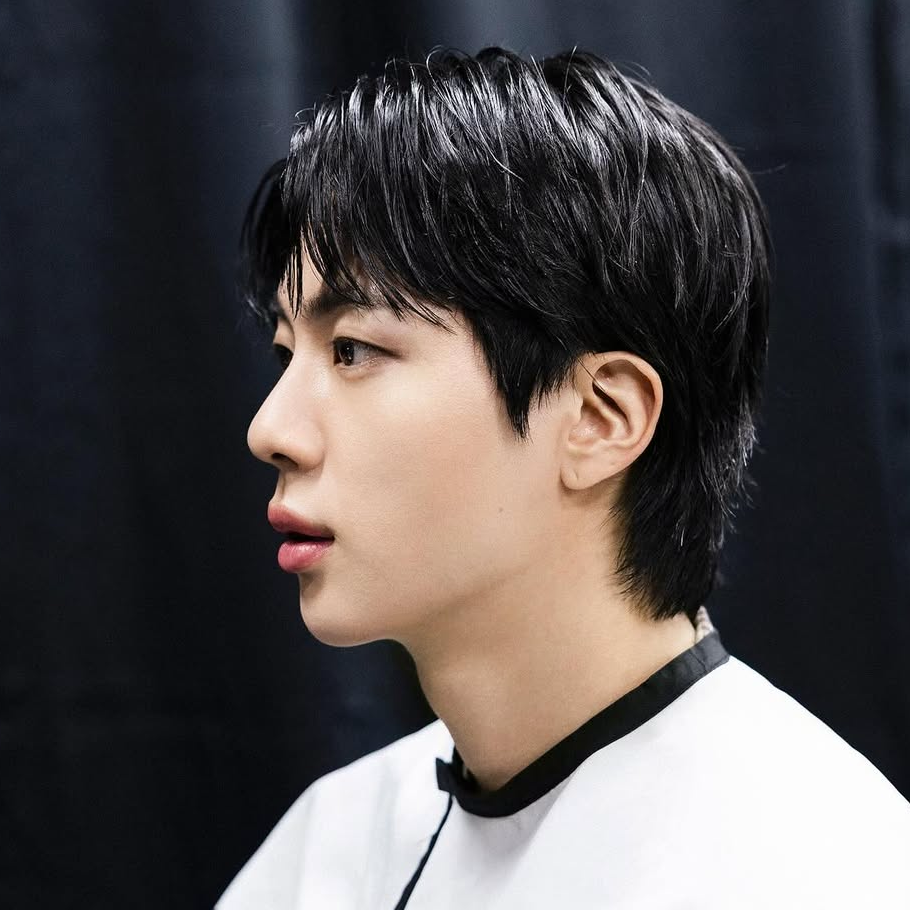 A moment captured by Jin (BTS)'s fan