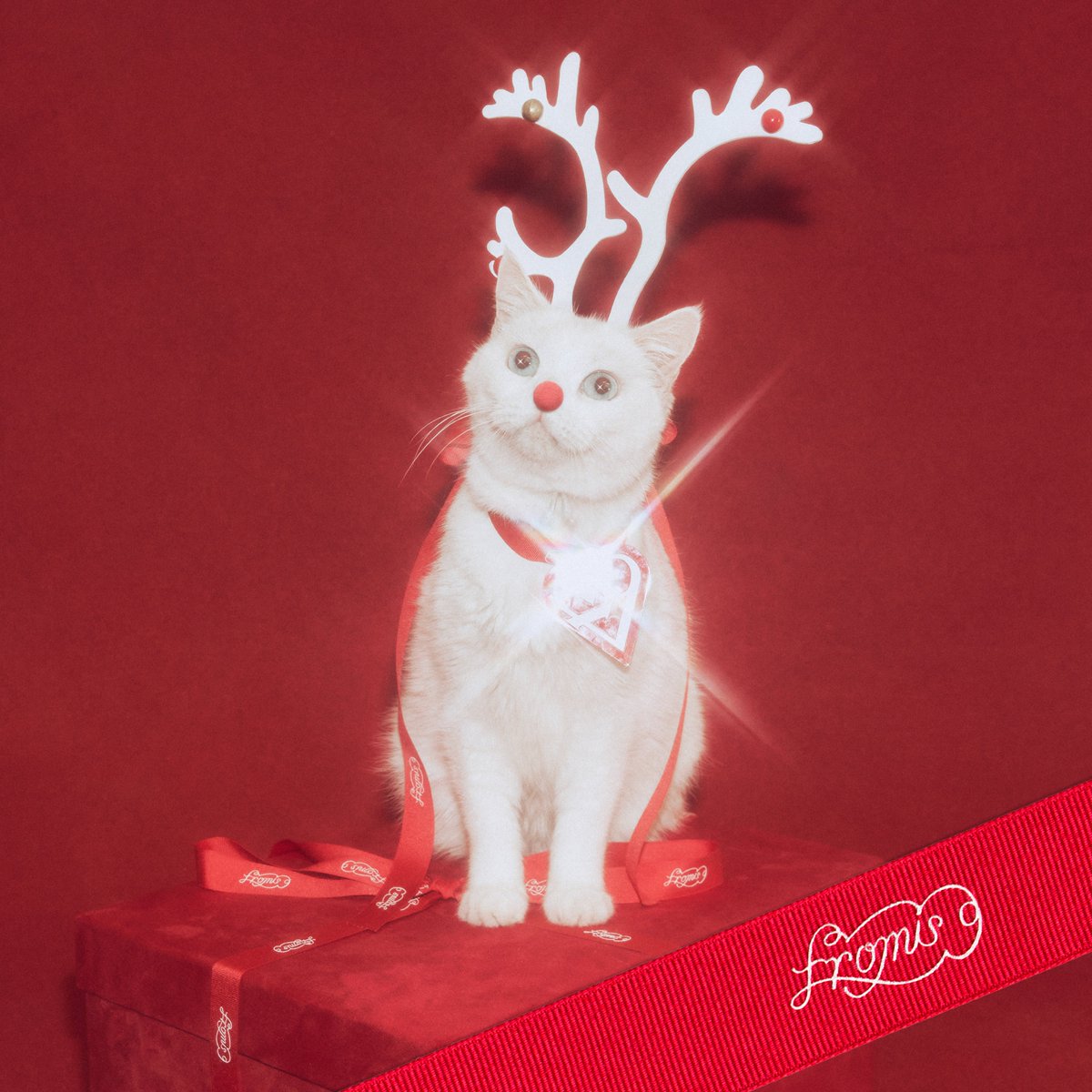 fromis (9)的最新照片