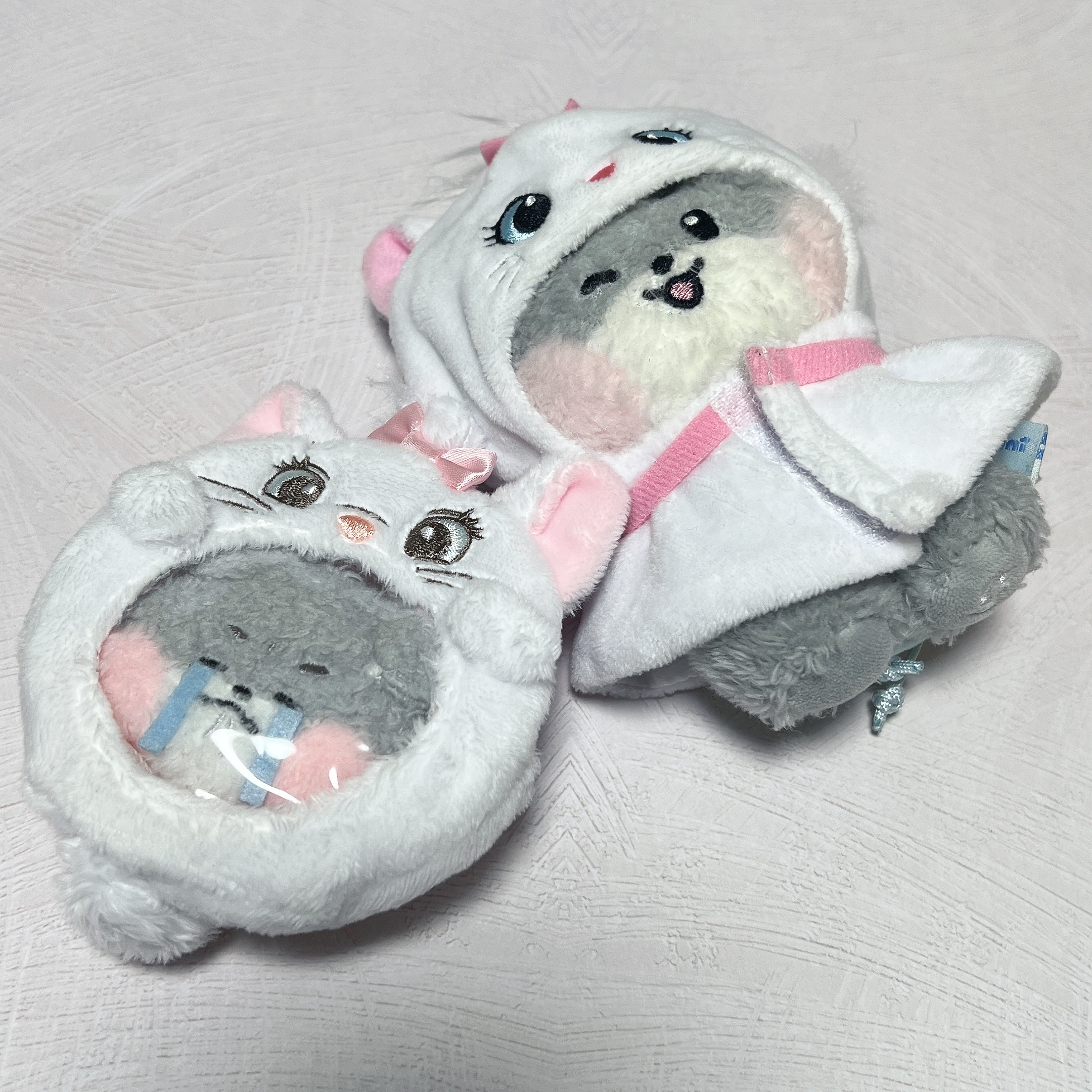 A moment captured by Park Gunwook (ZEROBASEONE)'s fan