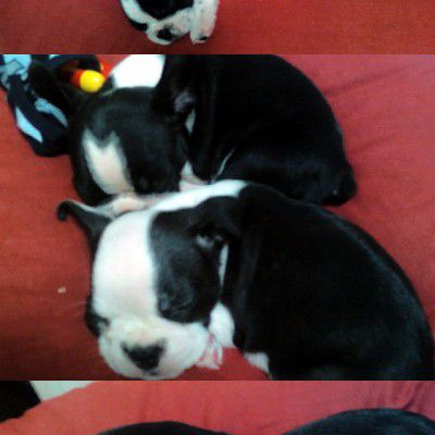 Behind-the-scenes cut of Taeyang (BIGBANG)