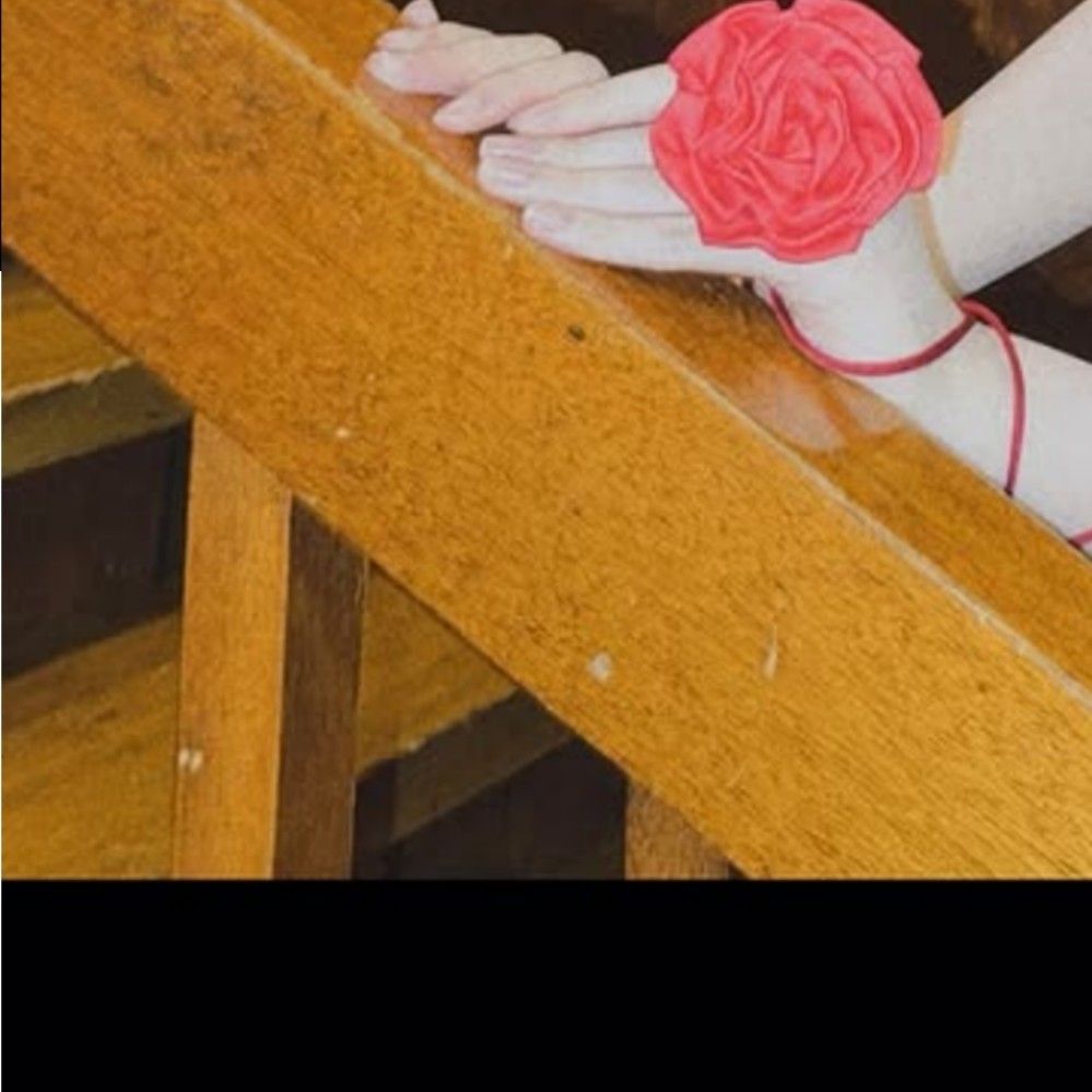 Recent activity shot of LIZ (IVE)