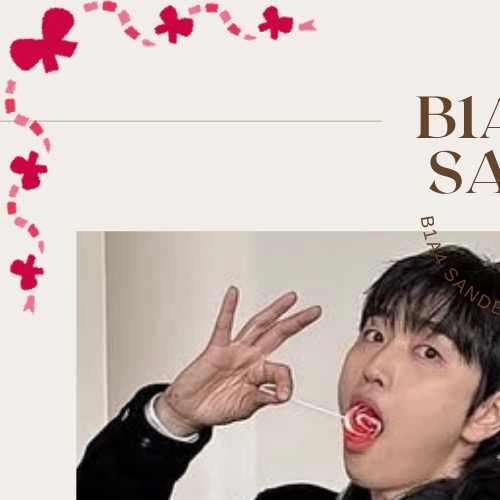 A moment captured by Sandeul (B1A4)'s fan