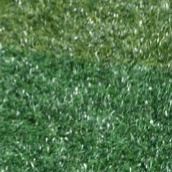 Recent activity shot of Rora (BABYMONSTER)