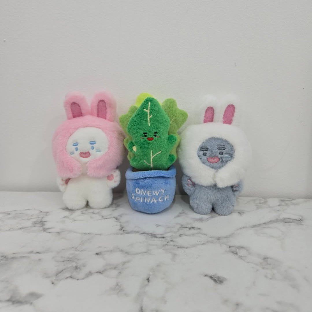 Recent activity shot of SHINee