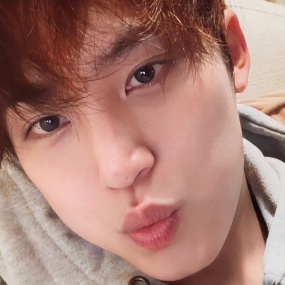 세븐틴의 비하인드 컷