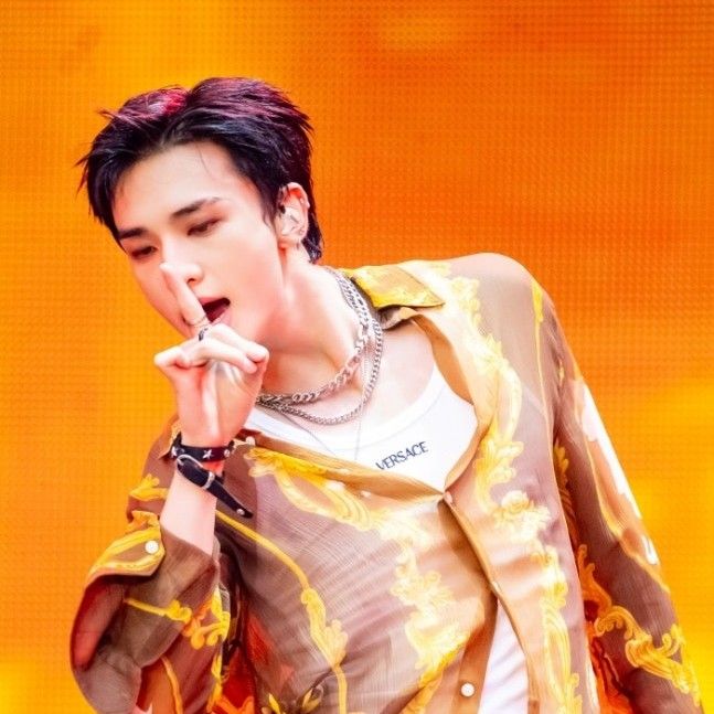 ヒョンジン (Stray Kids)の最近の活動写真