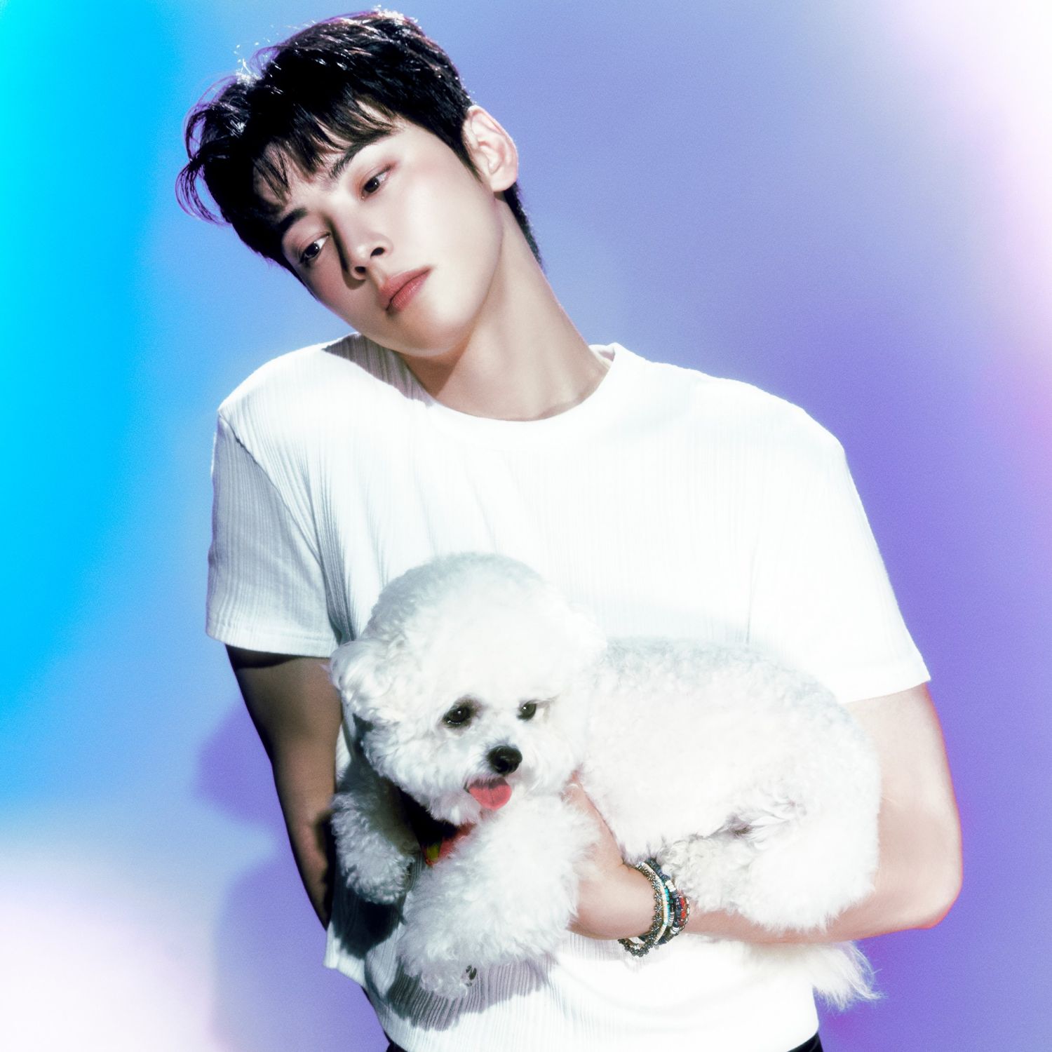 아스트로의 최신 사진