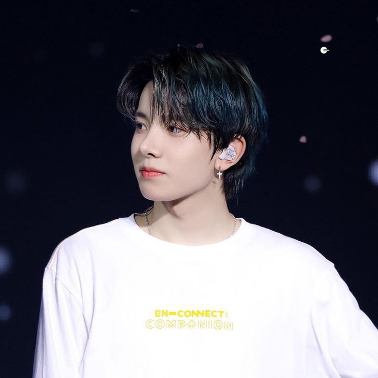 A moment captured by ENHYPEN's fan