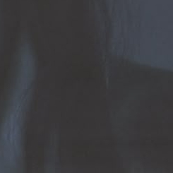 ダミ (DREAMCATCHER)ファンが撮った瞬間