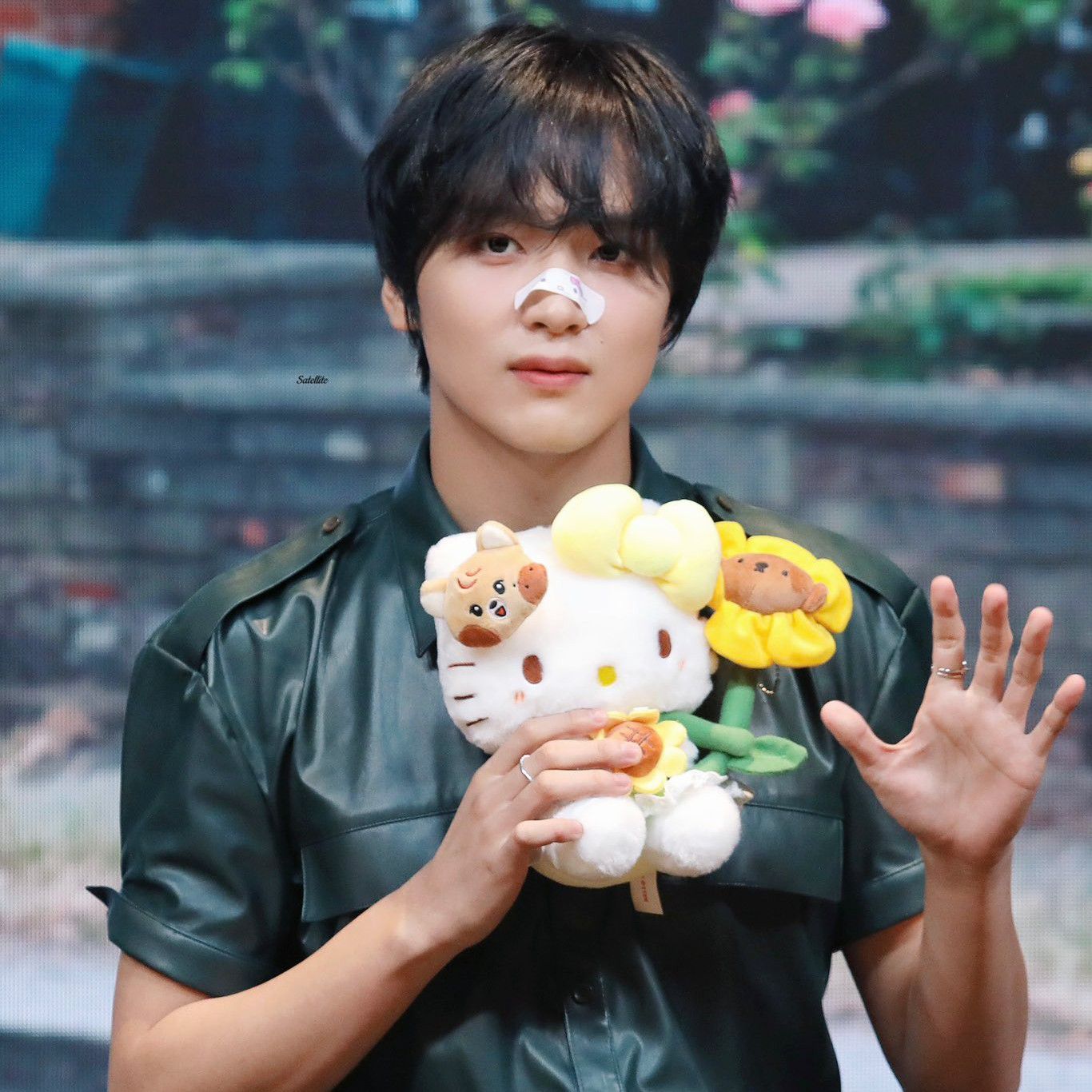 NCT DREAM NCT 127 ヘチャン　イコムド　30cm NCT DREAM NCT 127 ヘチャン イコムド 30cm NCT DREAM NCT 127