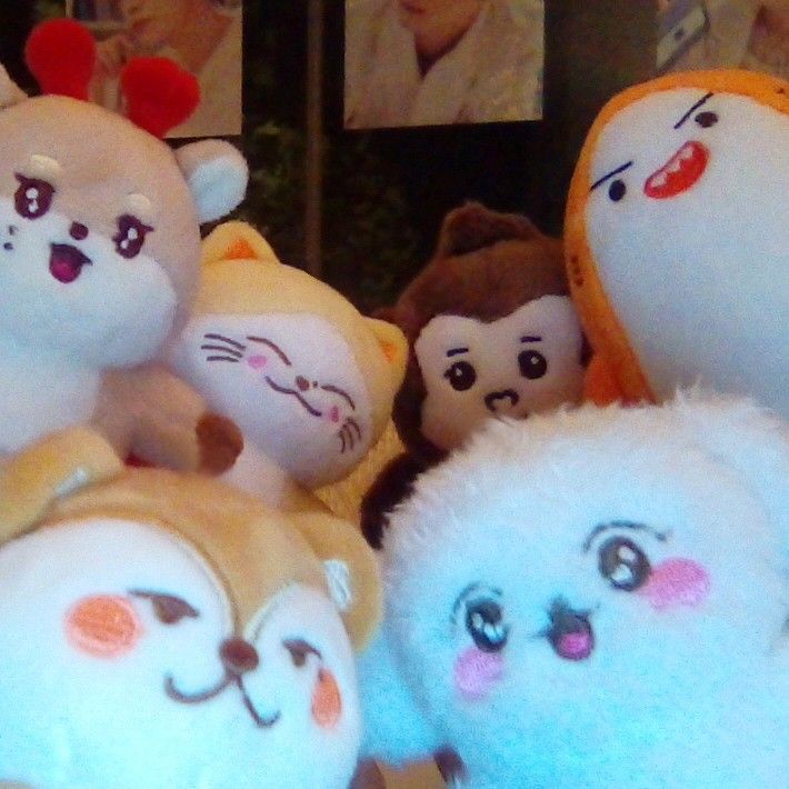 Recent activity shot of ONF
