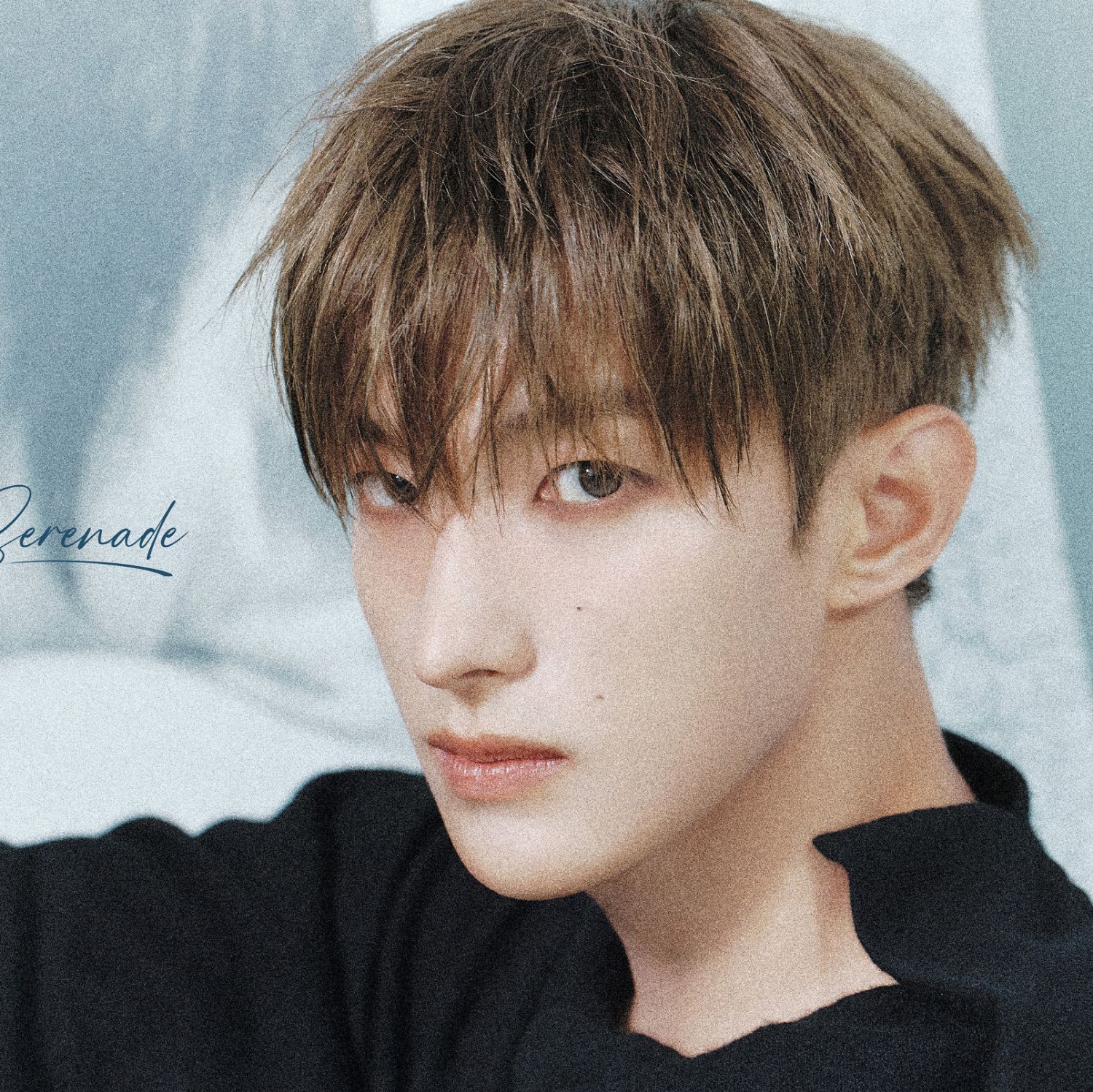 세븐틴 팬이 찍은 순간