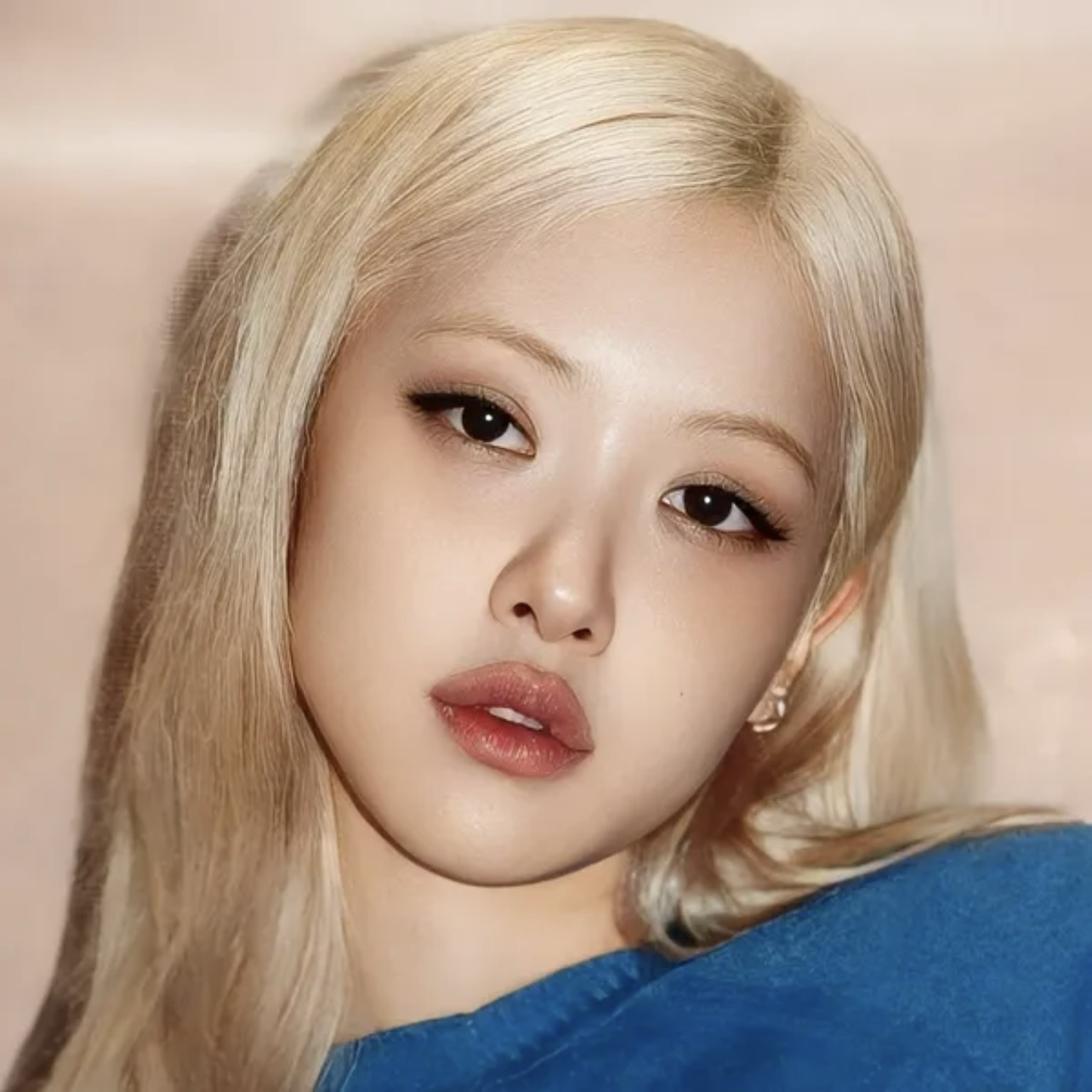 A moment captured by BLACKPINK's fan