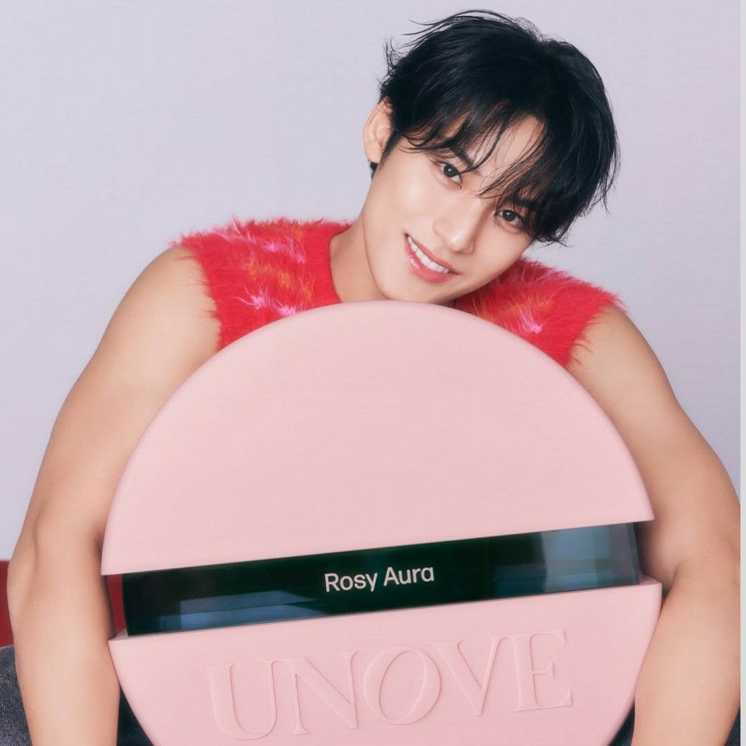Recent activity shot of Mingyu (SEVENTEEN)