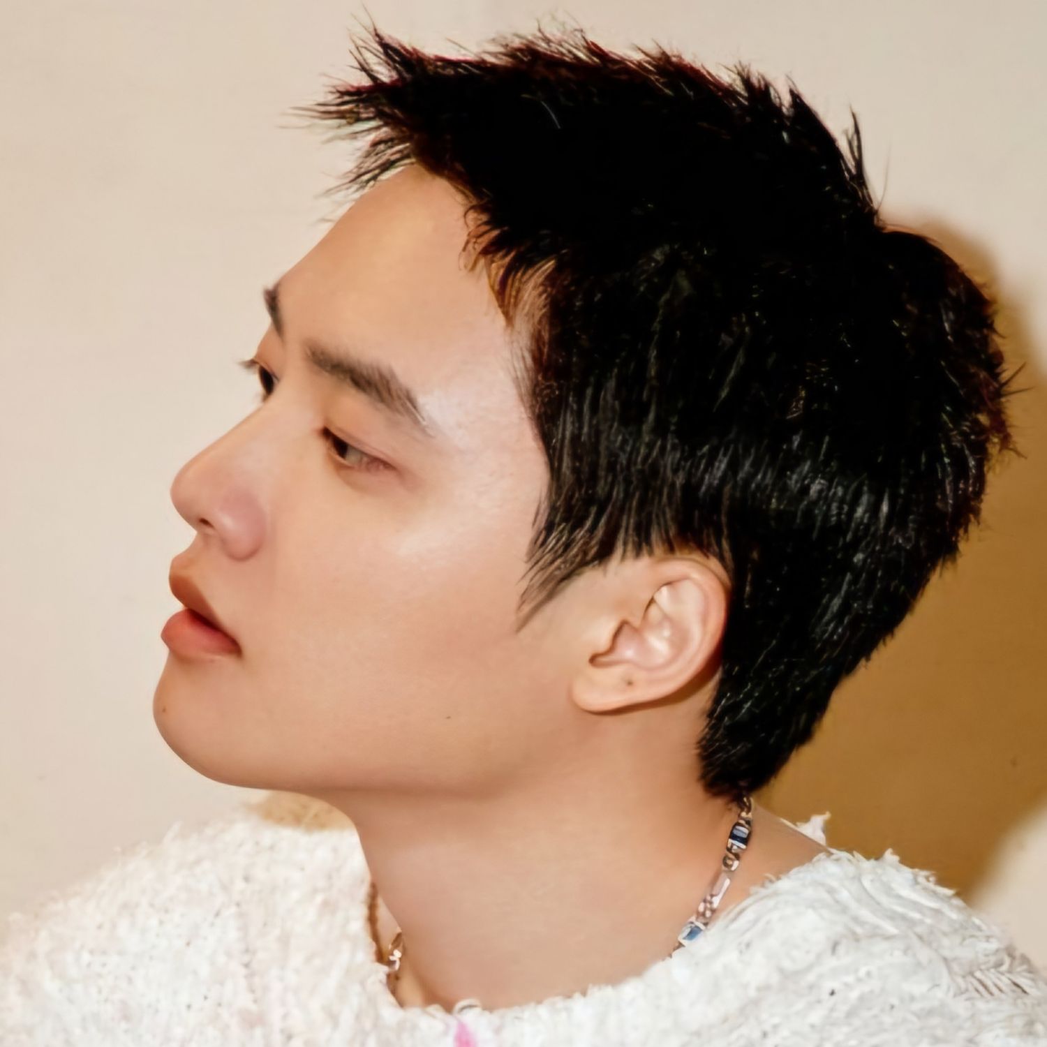 A moment captured by D.O. (EXO)'s fan