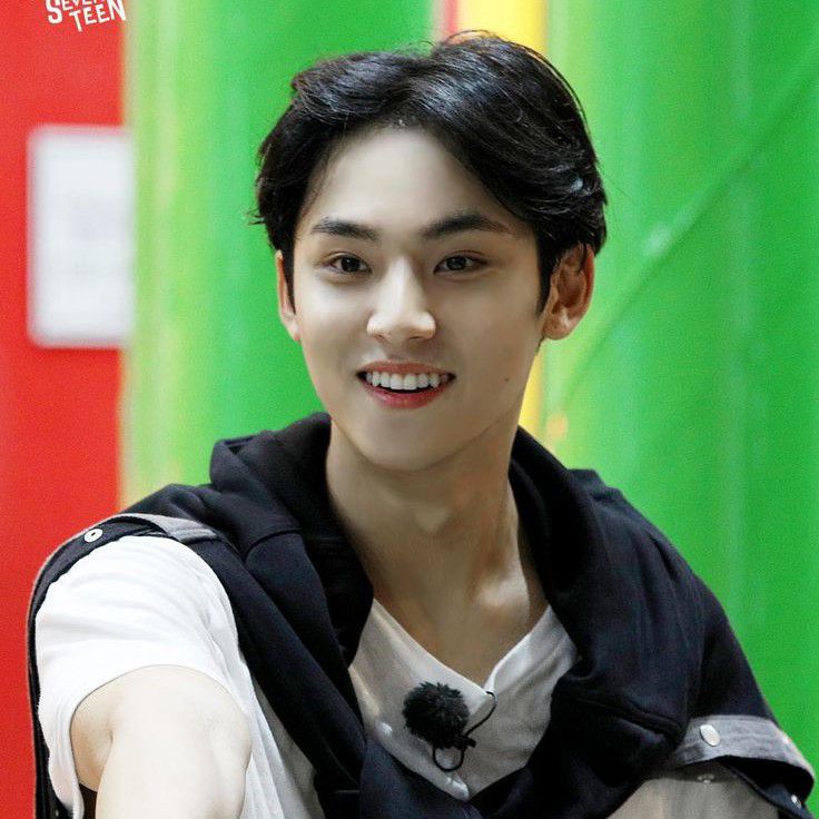 A moment captured by Mingyu (SEVENTEEN)'s fan