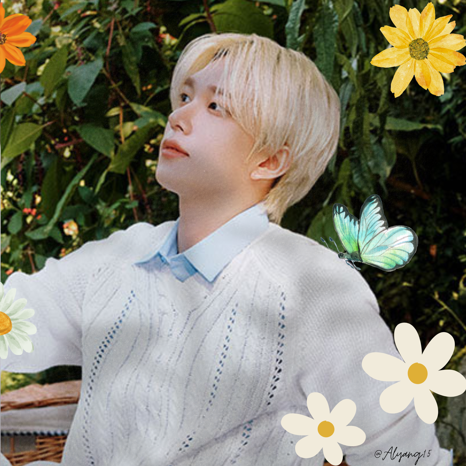 A moment captured by THEO (P1Harmony)'s fan