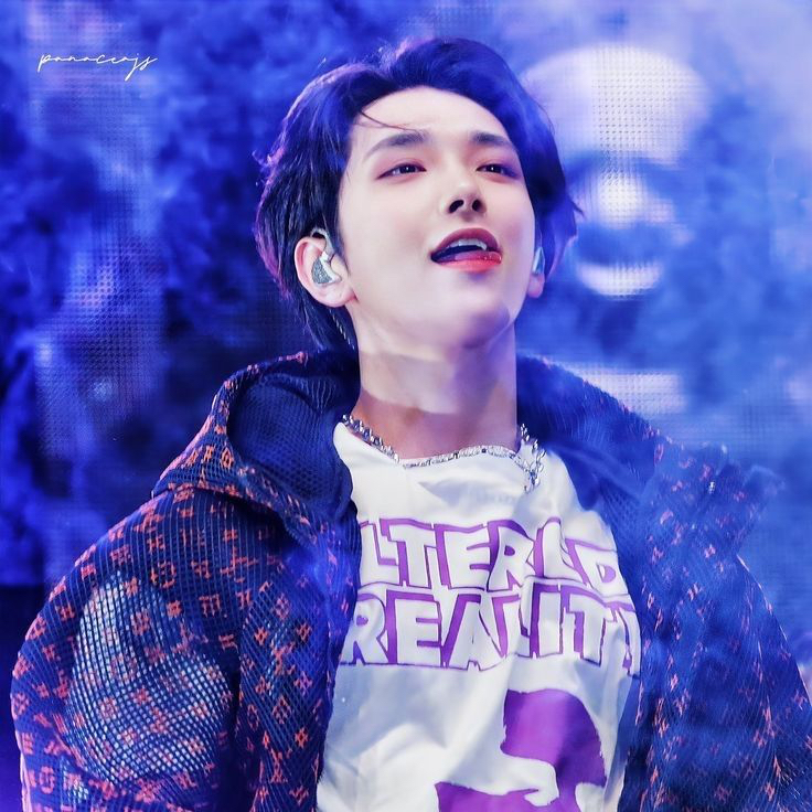 A moment captured by Joshua (SEVENTEEN)'s fan