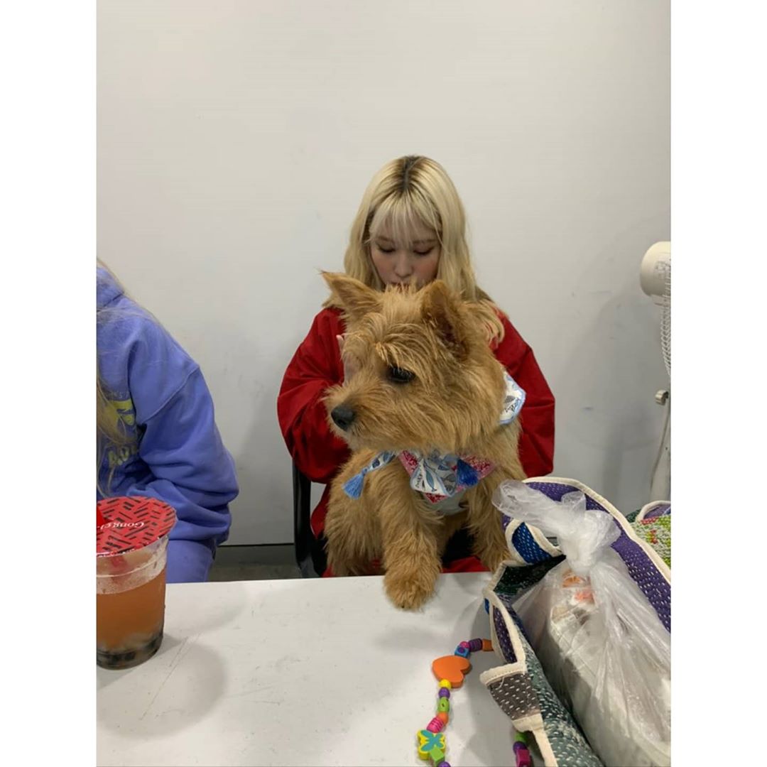 Recent activity shot of Mina (TWICE)