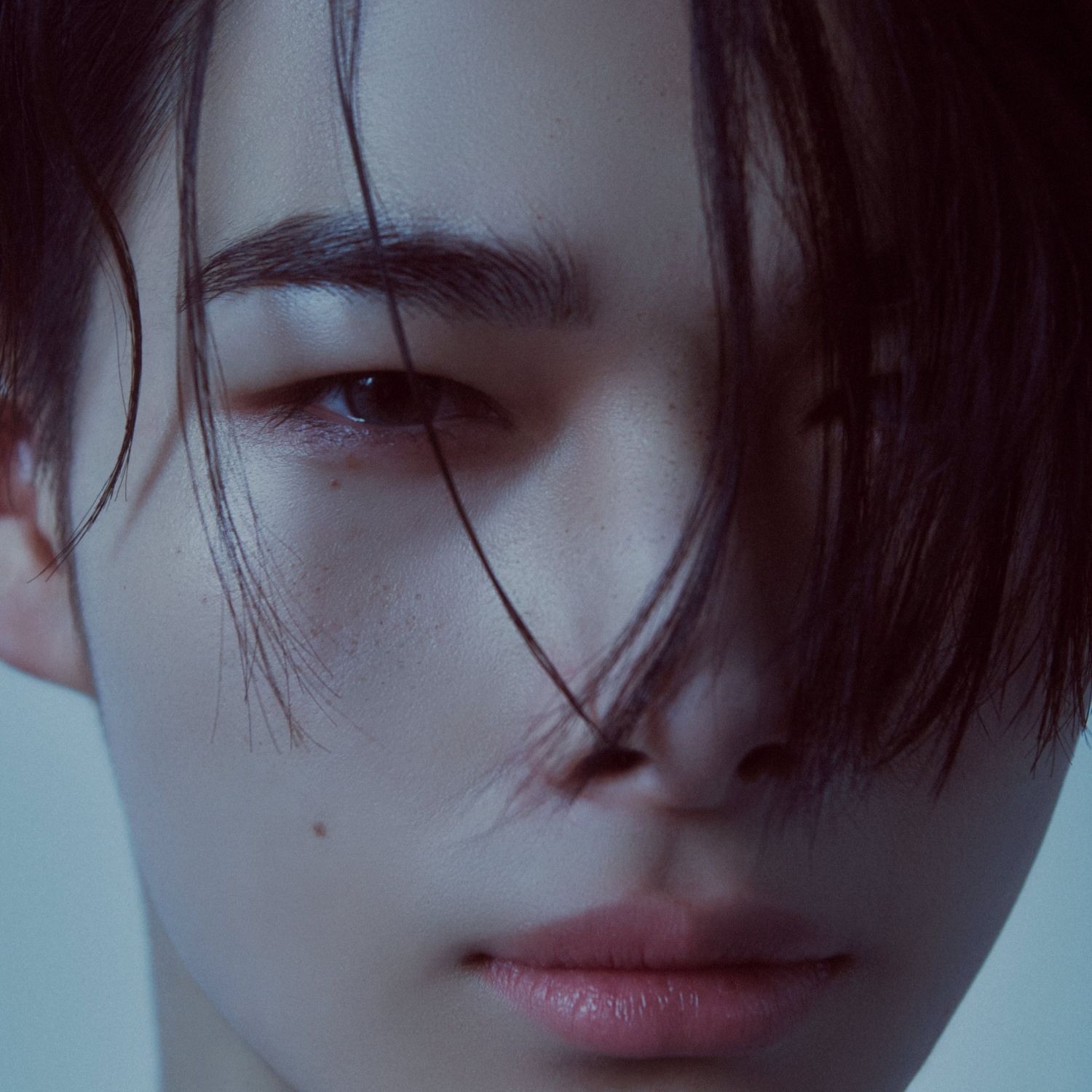 ENHYPEN粉絲拍下的瞬間