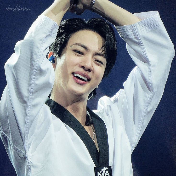 진 (방탄소년단) 팬이 찍은 순간