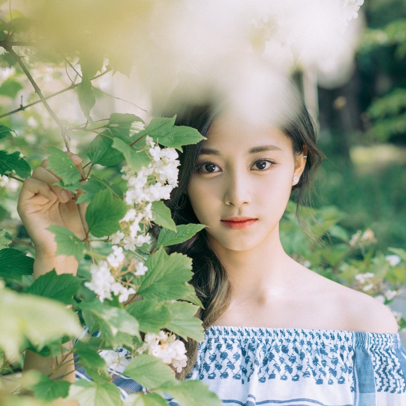 子瑜 (TWICE)的幕后花絮