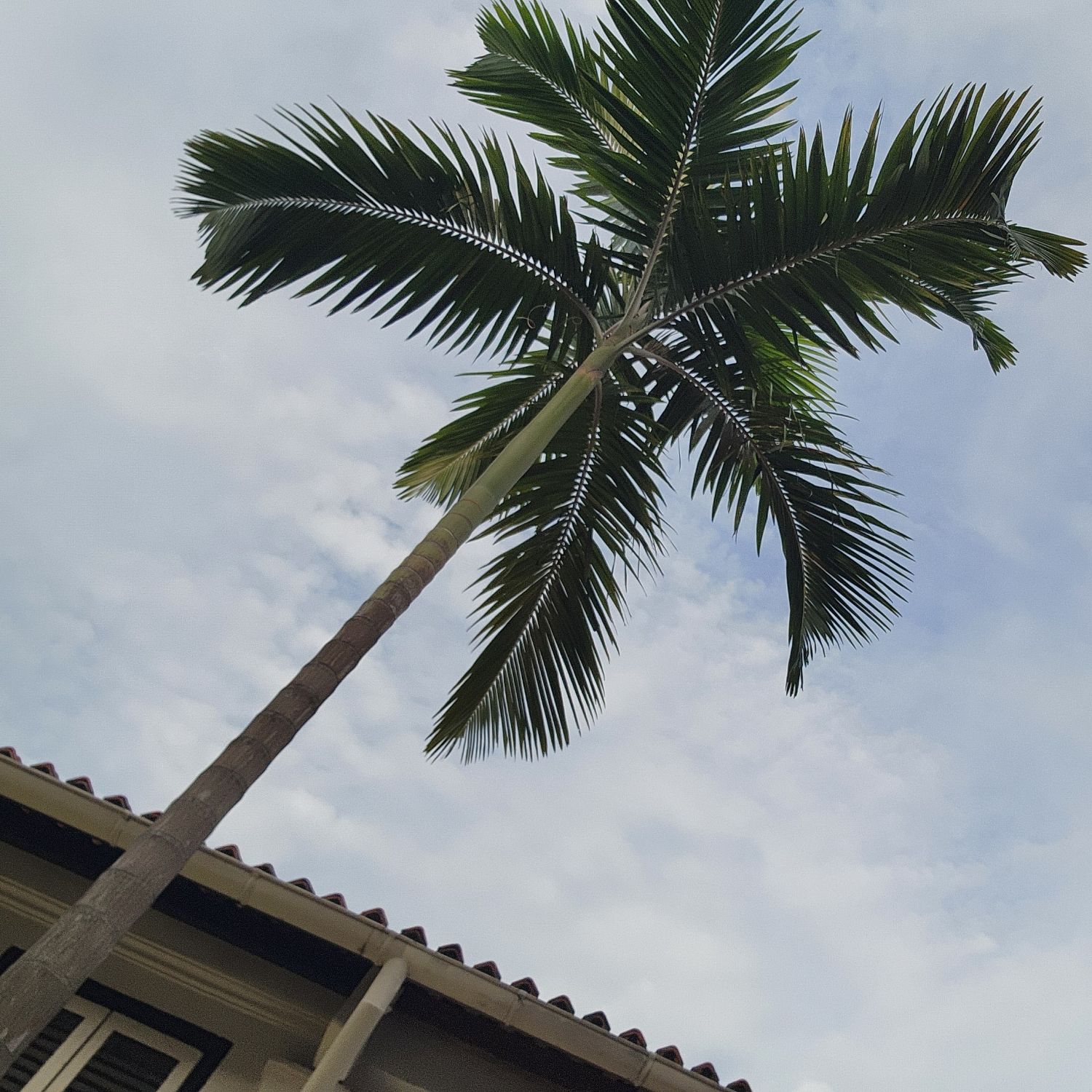 Behind-the-scenes cut of SEVENTEEN