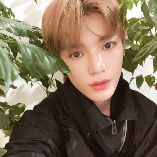 A moment captured by Taeyong (NCT 127)'s fan