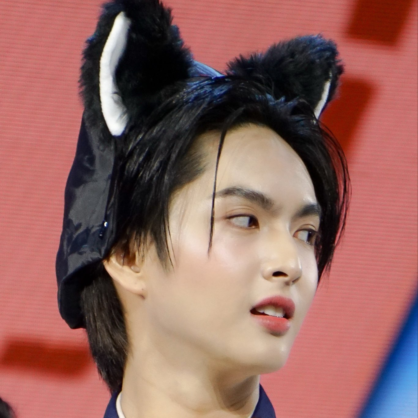 Latest photo of Copper (BUS)