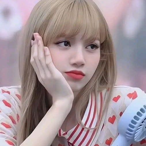 리사 (BLACKPINK) 팬이 찍은 순간