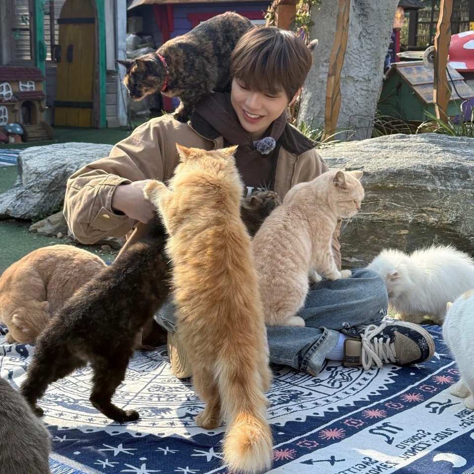 강다니엘 팬이 찍은 순간