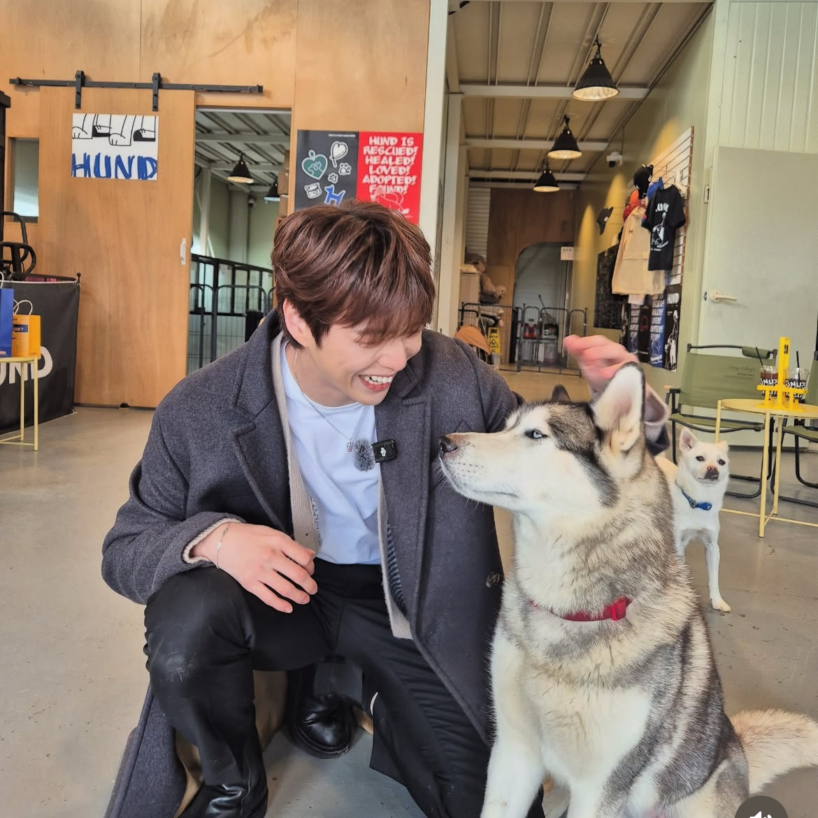 강다니엘 팬이 찍은 순간