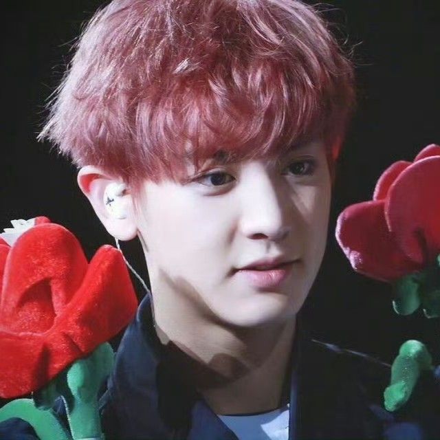 燦烈 (EXO)粉絲拍下的瞬間
