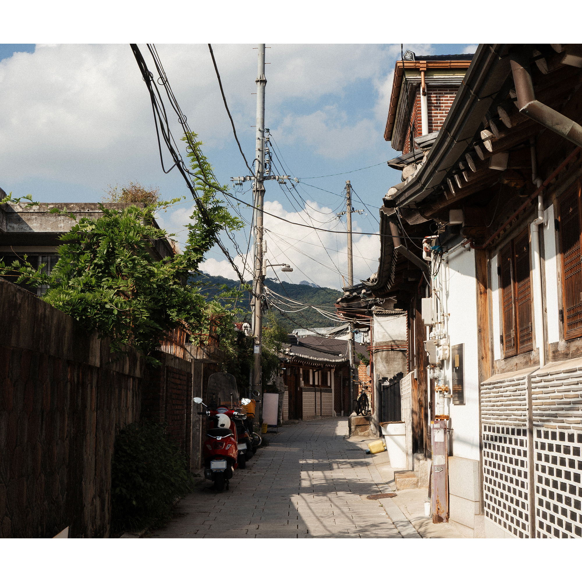 원우 (세븐틴) 팬이 찍은 순간