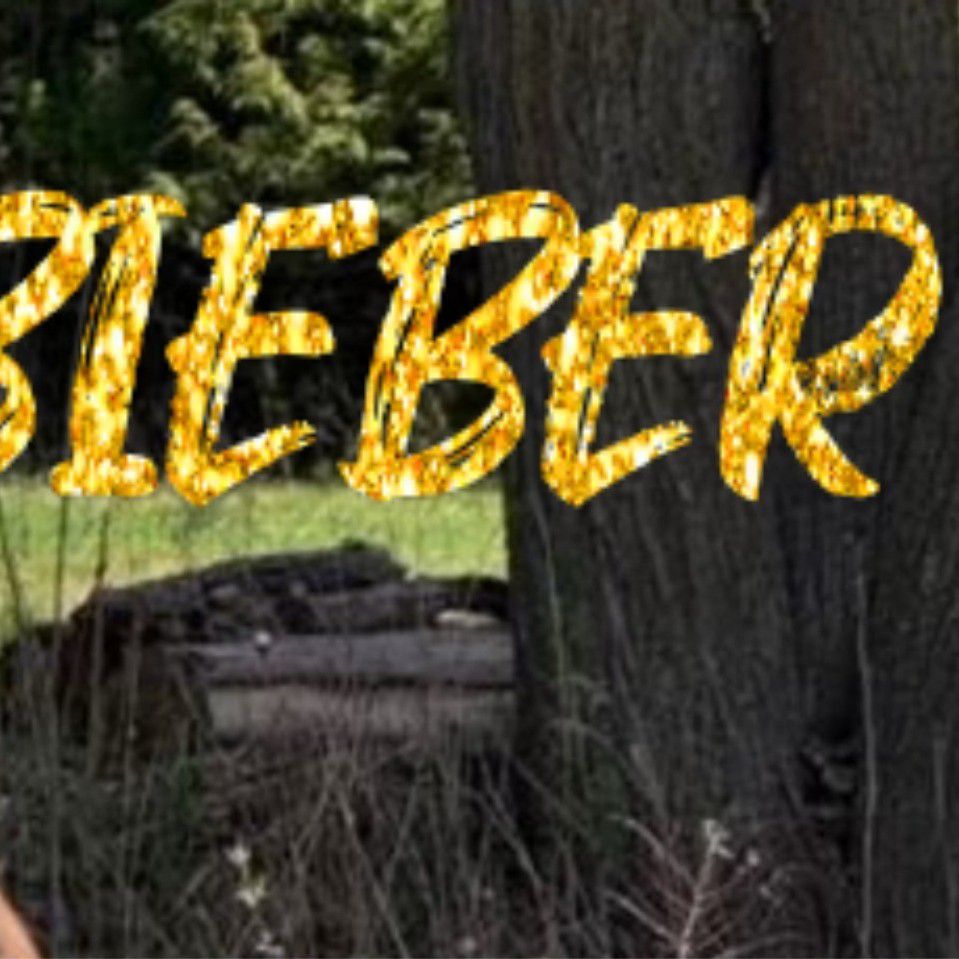 Recent activity shot of Justin Bieber