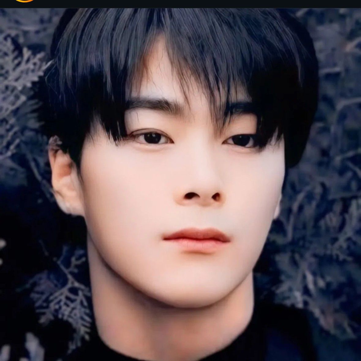 文彬 (ASTRO)的最新照片