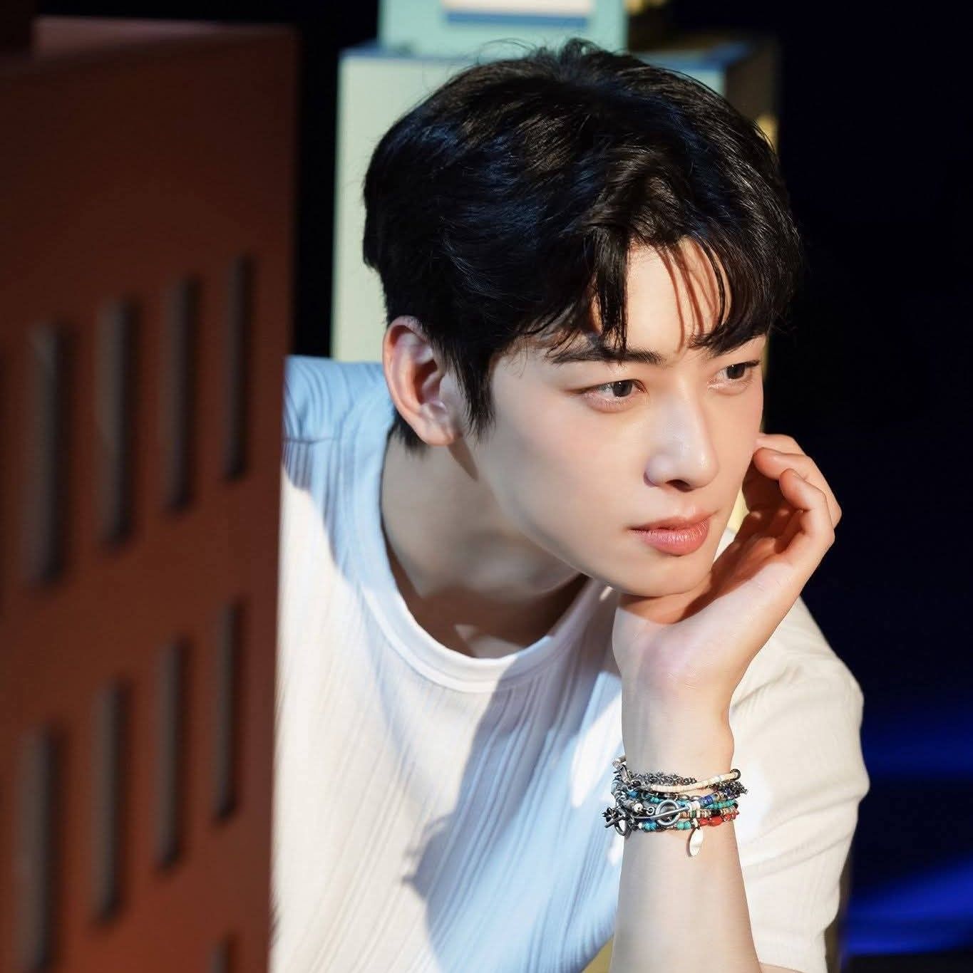 아스트로 팬이 찍은 순간