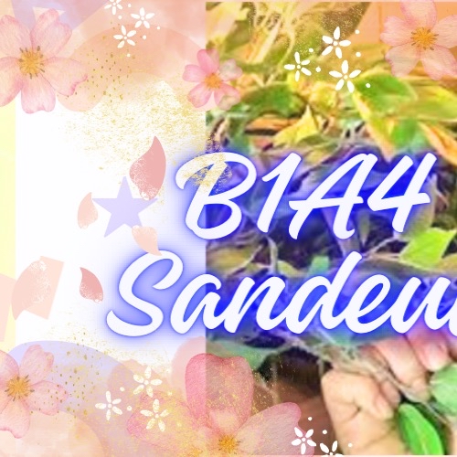 Behind-the-scenes cut of Sandeul (B1A4)
