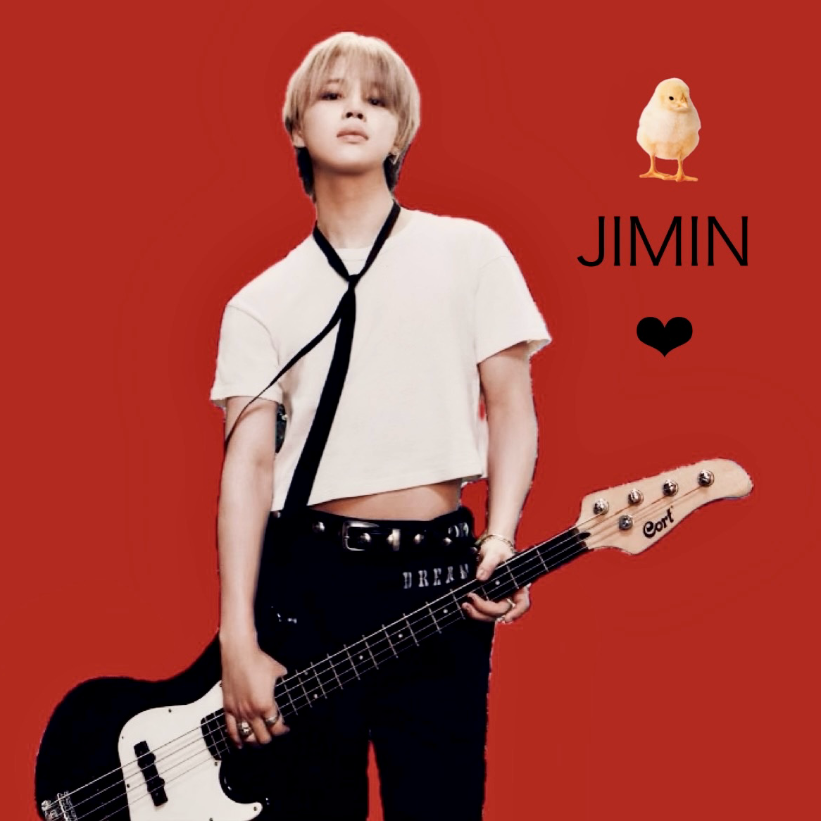 A moment captured by Jimin (BTS)'s fan