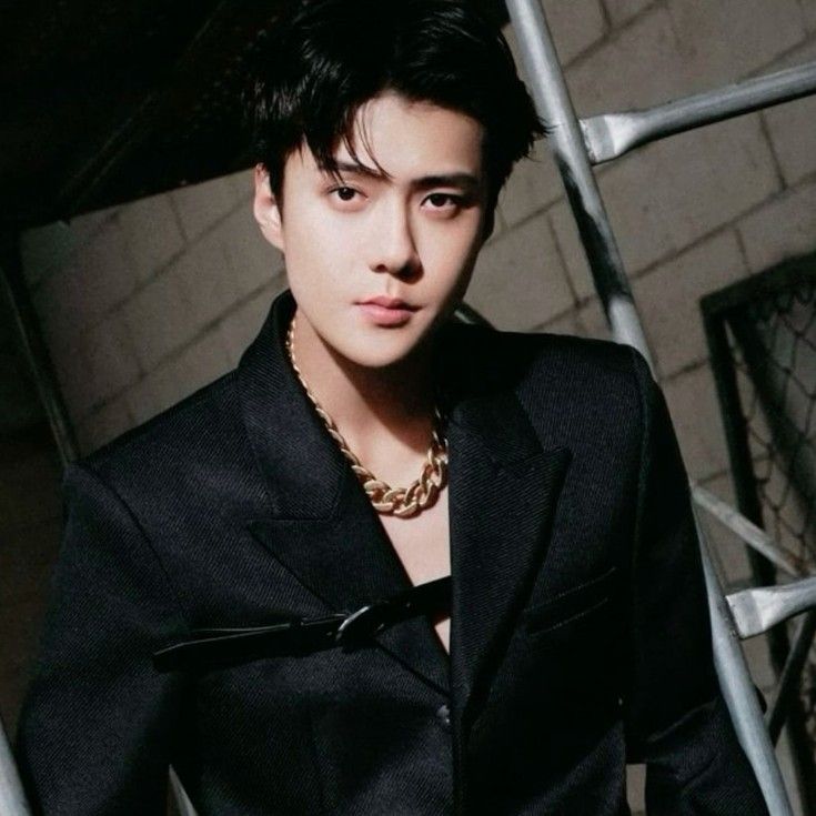 世勳 (EXO)粉絲拍下的瞬間