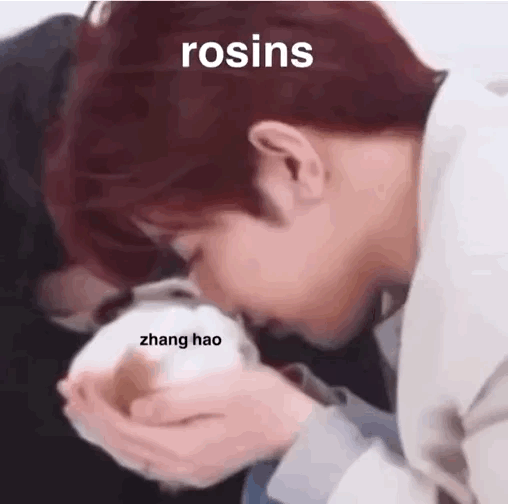 Recent activity shot of Zhang Hao (ZEROBASEONE)